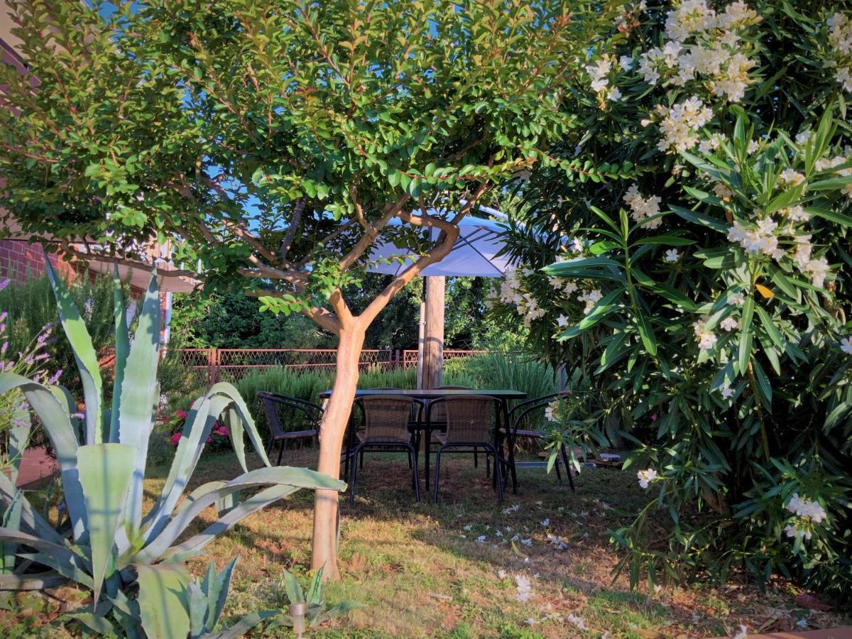 Apartment Agava Istria - Family Vacation Rental With Free Parking, Garden, Wifi Liznjan Luaran gambar