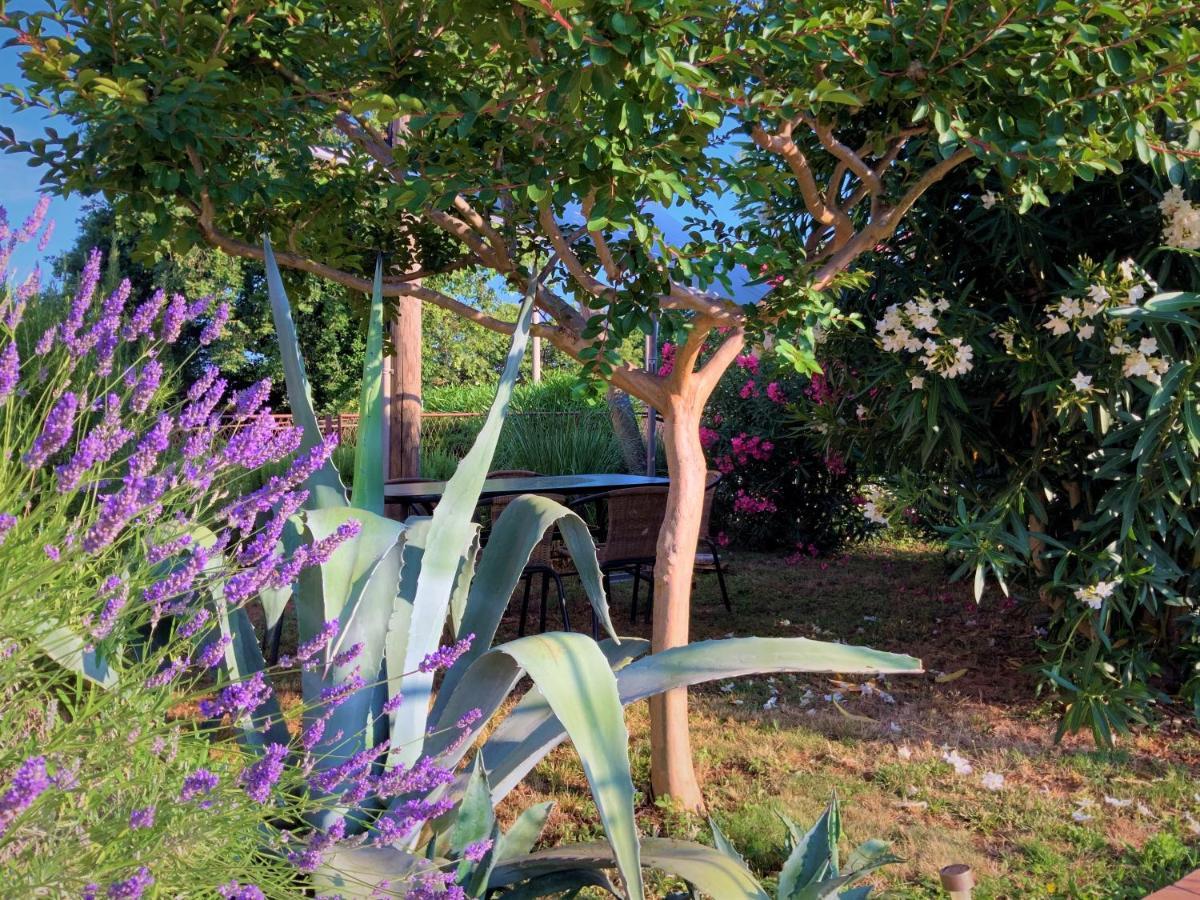 Apartment Agava Istria - Family Vacation Rental With Free Parking, Garden, Wifi Liznjan Luaran gambar