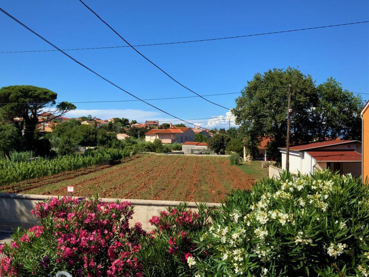 Apartment Agava Istria - Family Vacation Rental With Free Parking, Garden, Wifi Liznjan Luaran gambar