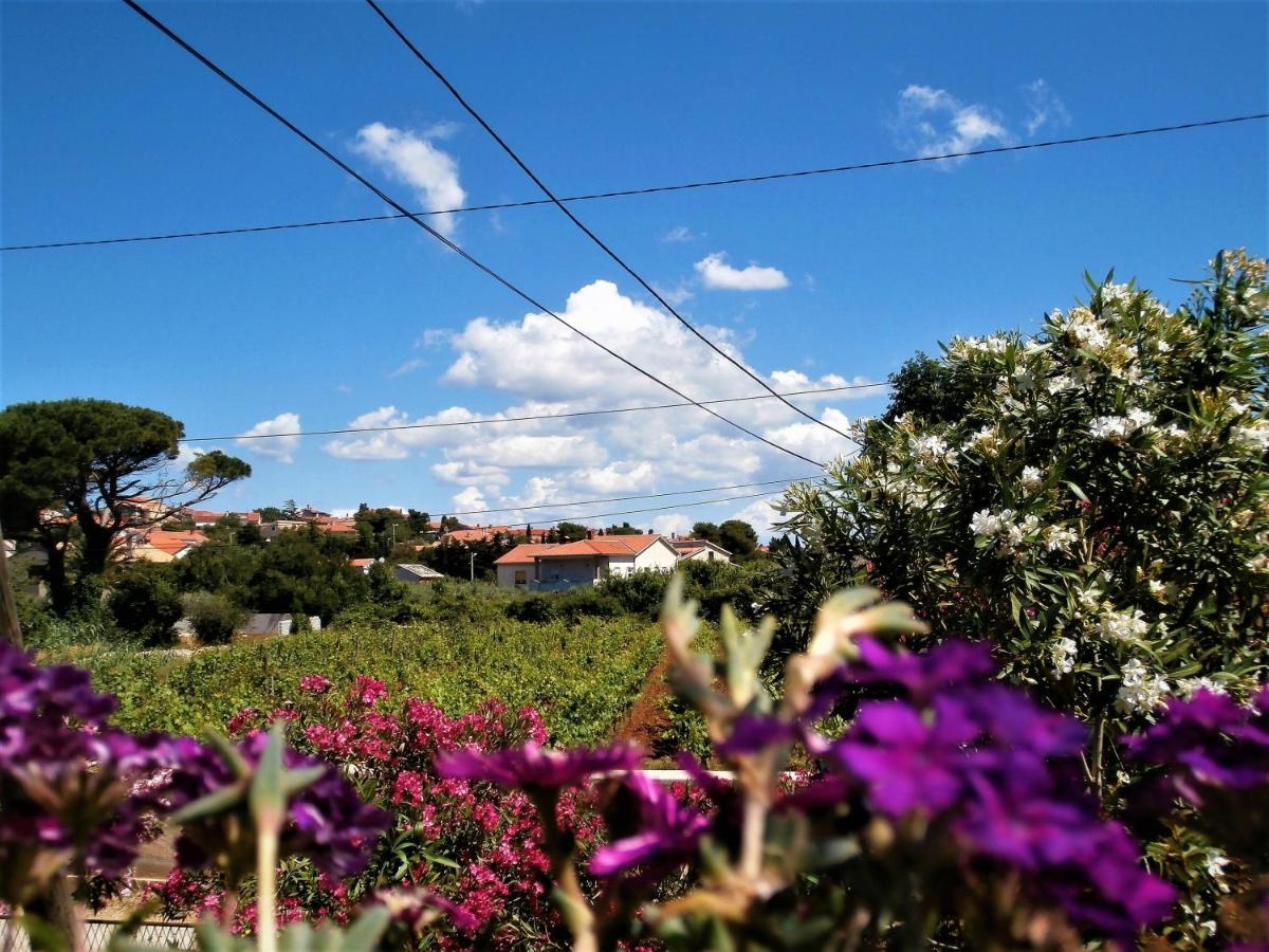 Apartment Agava Istria - Family Vacation Rental With Free Parking, Garden, Wifi Liznjan Luaran gambar