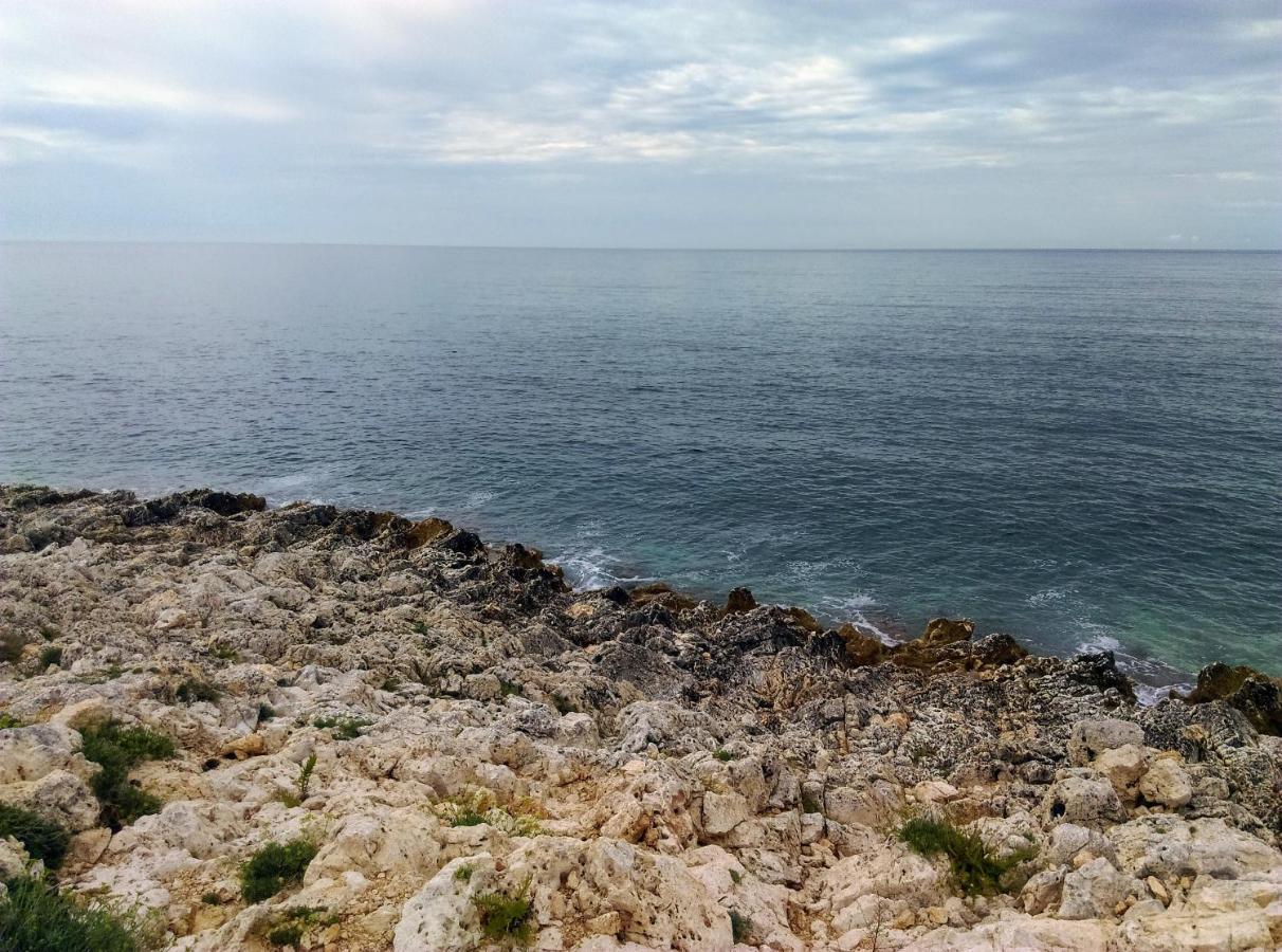 Apartment Agava Istria - Family Vacation Rental With Free Parking, Garden, Wifi Liznjan Luaran gambar