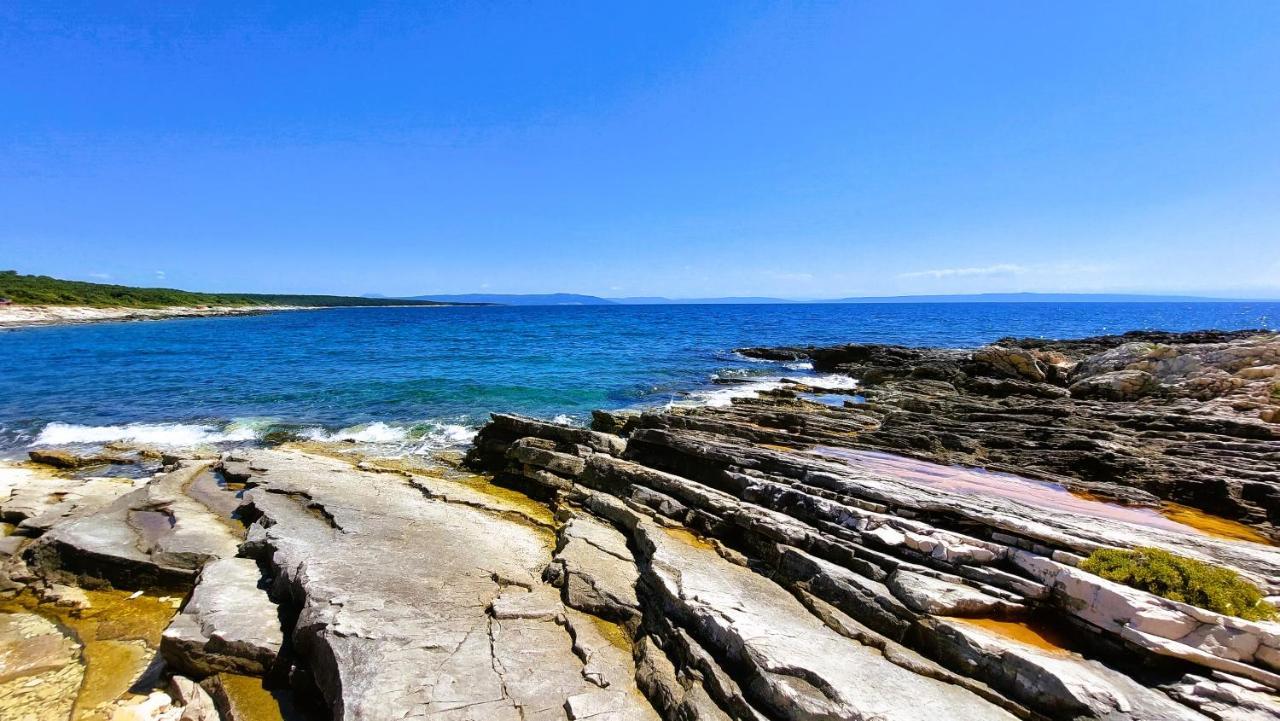 Apartment Agava Istria - Family Vacation Rental With Free Parking, Garden, Wifi Liznjan Luaran gambar