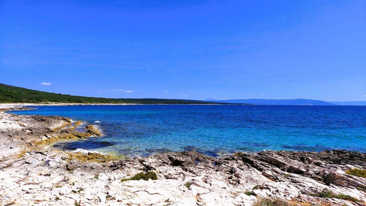 Apartment Agava Istria - Family Vacation Rental With Free Parking, Garden, Wifi Liznjan Luaran gambar