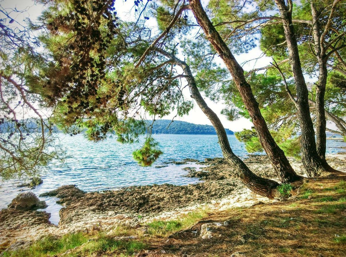 Apartment Agava Istria - Family Vacation Rental With Free Parking, Garden, Wifi Liznjan Luaran gambar