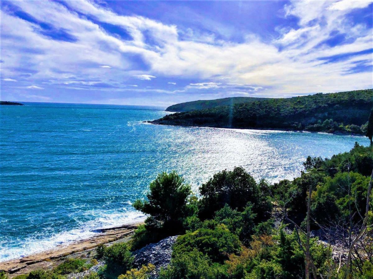 Apartment Agava Istria - Family Vacation Rental With Free Parking, Garden, Wifi Liznjan Luaran gambar